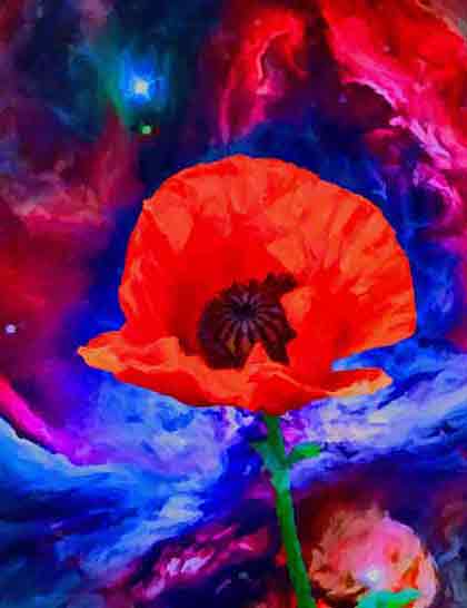 Poppy Against Nebula: Red Bloom with Cosmic Backdrop by Wiesław Sadurski.