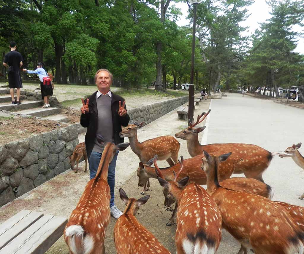 Photograph of artist Wiesław Sadurski tenderly feeding deer in Nara Park, Japan.