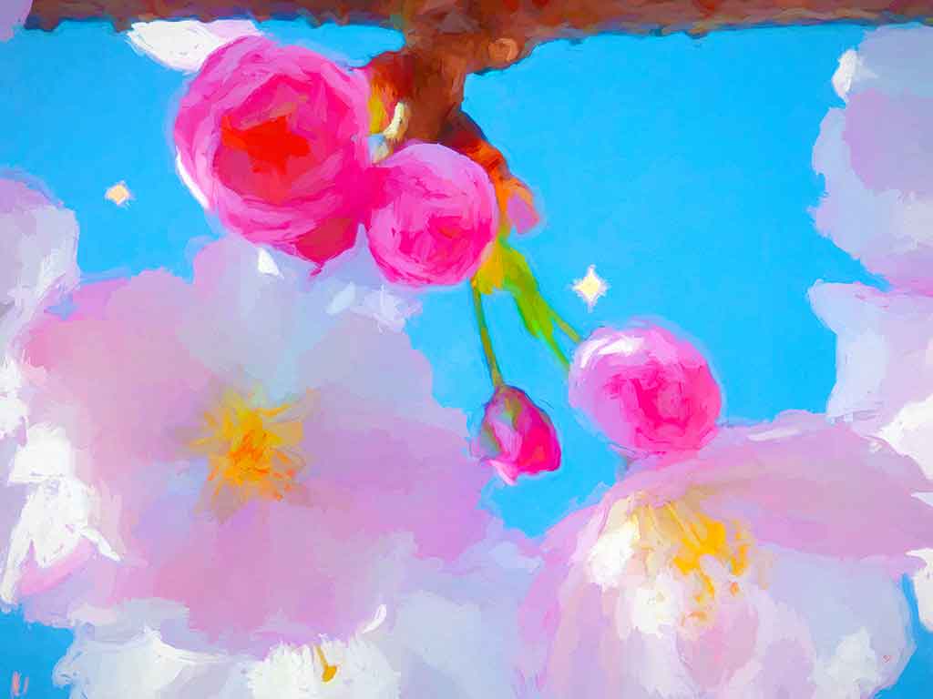 Few cherry Buds and Flowers in blue starry Sky; painting by Wiesław Sadurski