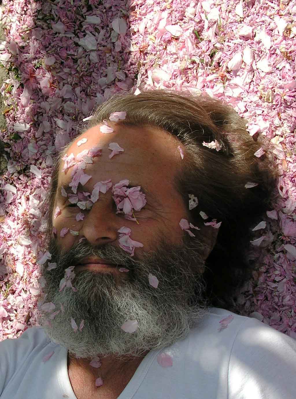 Photo Wiesław Sadurski lying on white-pink petals earth with cherry petals on his bearded face