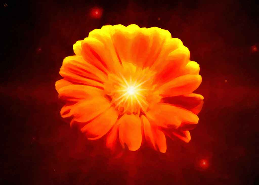 Huge orange-red Marguerite flower with small sun in heart, outer space two stars; by Wiesław Sadurski