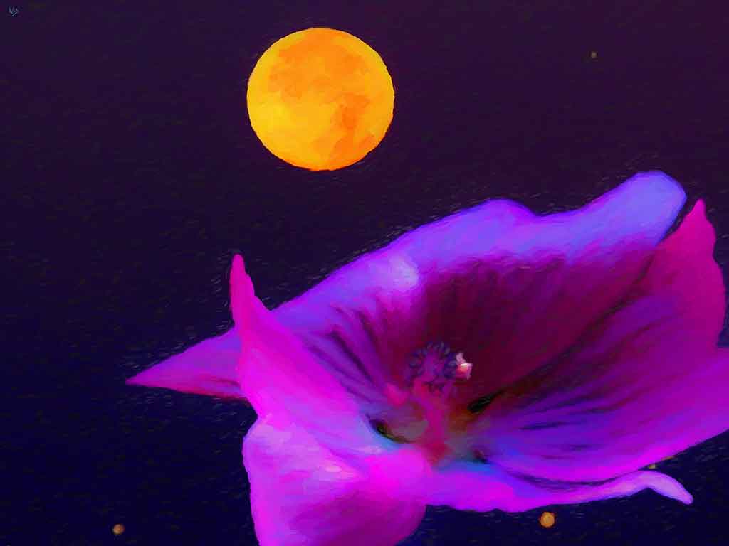 Vibrant violet flower under a moonlit night, capturing autumn's mystique; painting by Wiesław Sadurski