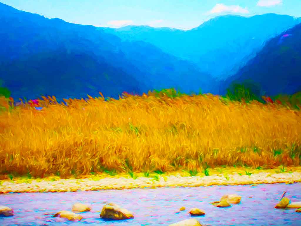 Rocky stream, high golden grass, blue mountains in back under light sky; by Wiesław Sadurski
