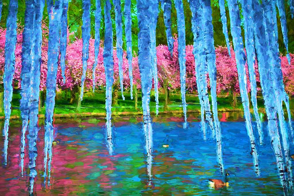 Blooming cherries and greens reflects in pond, blue sky - seen through icicles; by Wiesław Sadurski