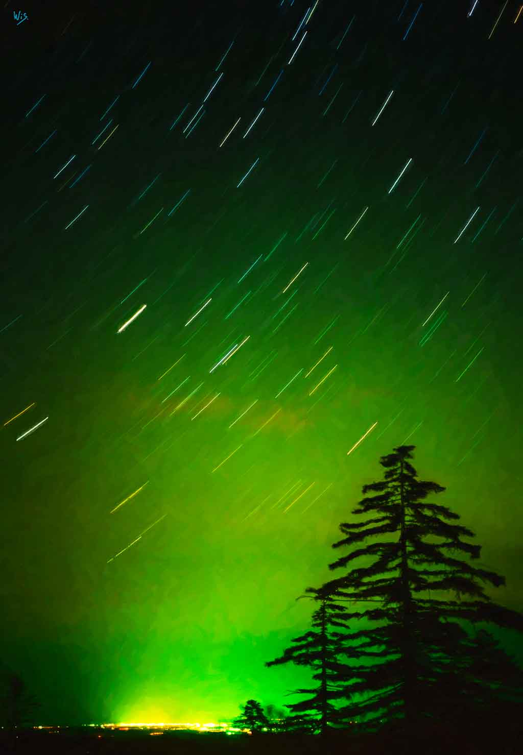 Green night with moving stars, city lights on horizon, black trees; painting by Wiesław Sadurski