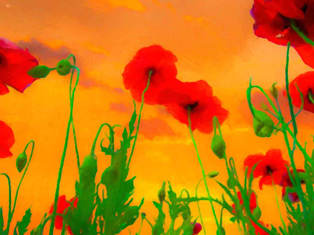 Green poppy plants and flowers seen from beneath against red-orange Sky; painting by Wiesław Sadurski.