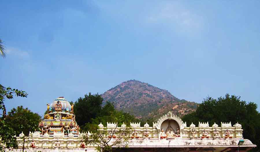 Arunachala White Temple