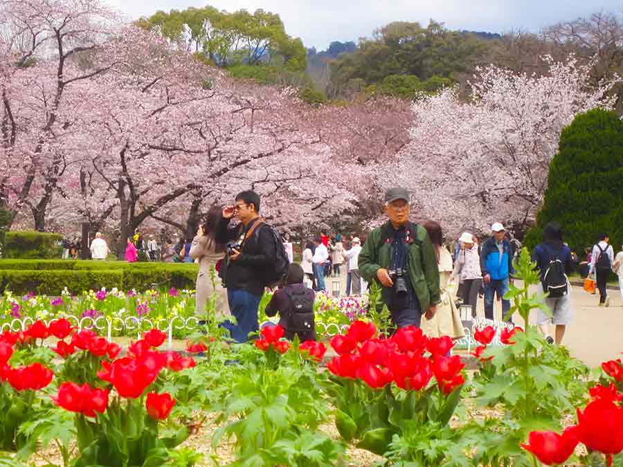 People walking in Botanic Garden Kyoto, photo by Wiesław Sadurski