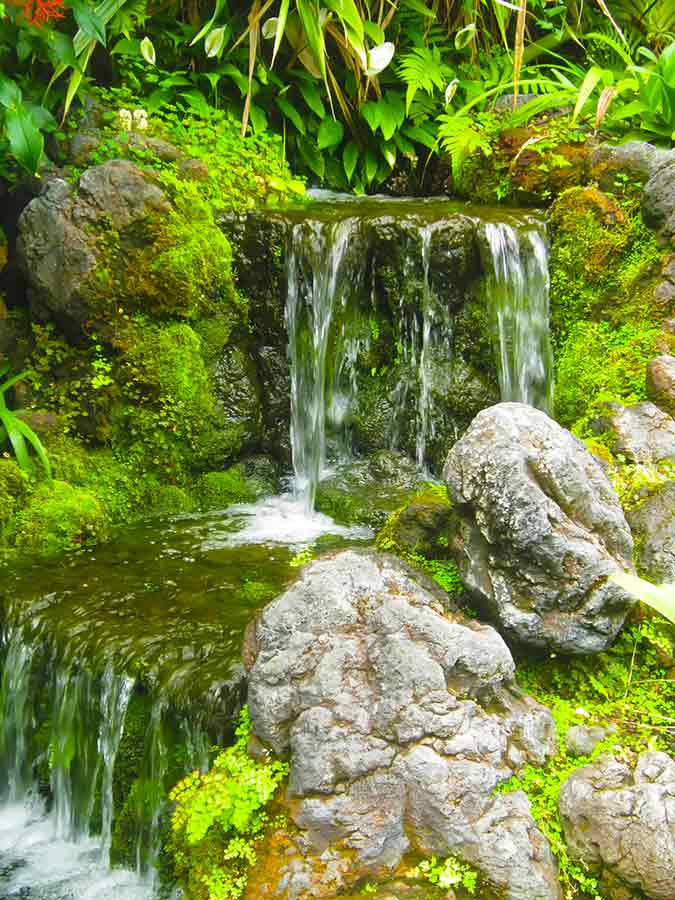 Waterfall and Rocks in Botanic Garden Kyoto, photo by Wiesław Sadurski