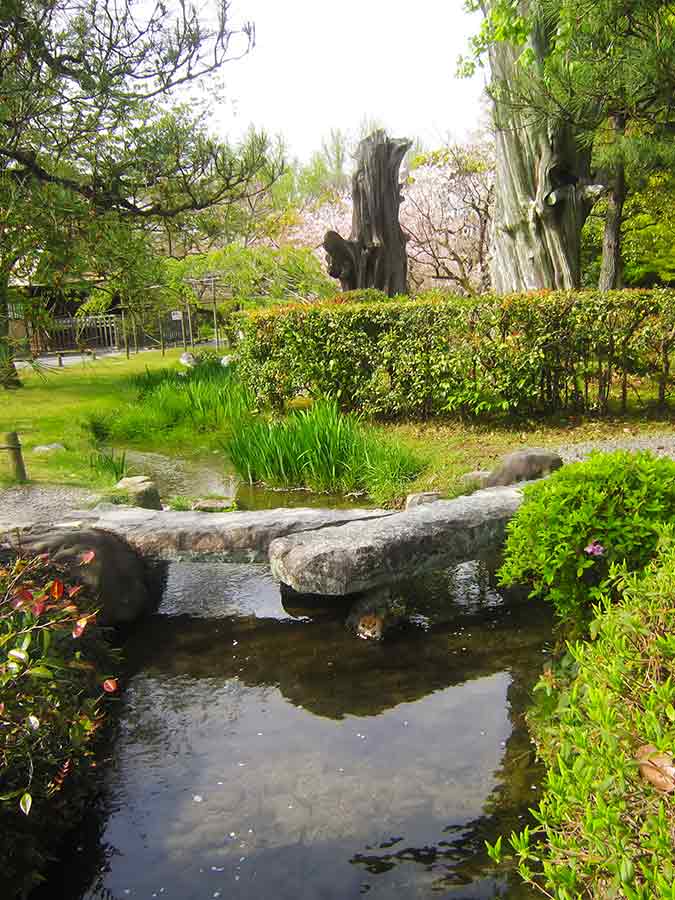 Stone Bridge Shosei-en Garden Kyoto, photo by Wiesław Sadurski