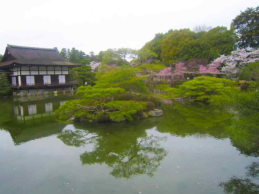 Pond and blossoming cherries Heian Garden in Kyoto, photo by Wiesław Sadurski