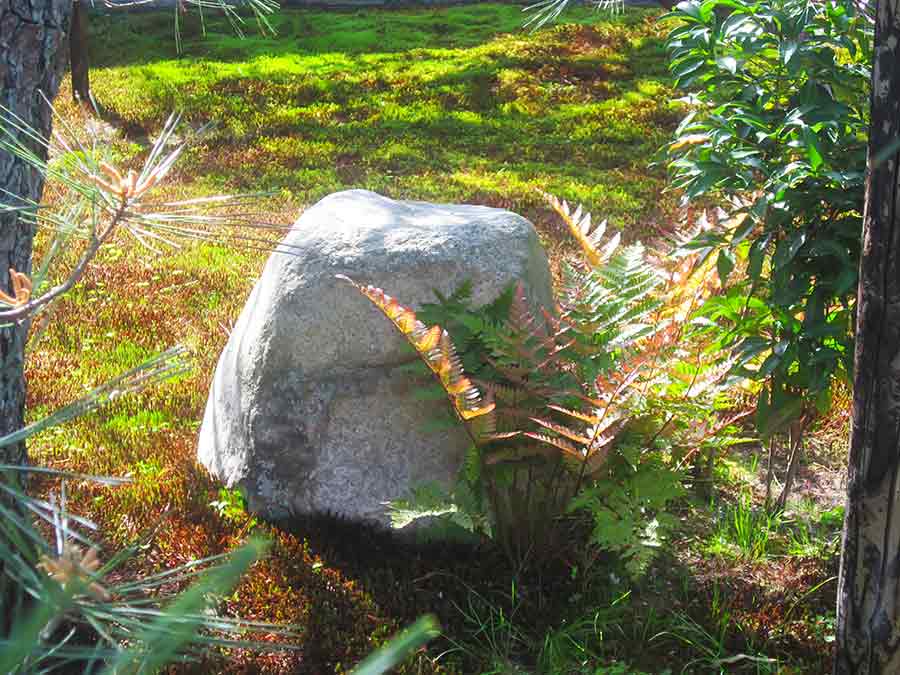 Zen Garden Kennin-ji Kyoto, photo by Wiesław Sadurski