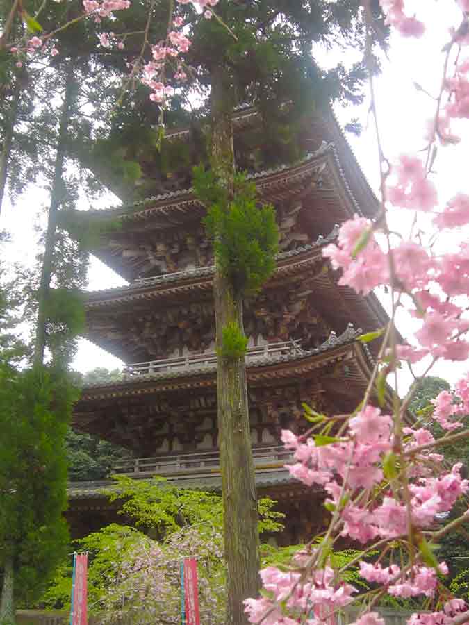 Daigoji Temple in Kyoto, photo by Wiesław Sadurski